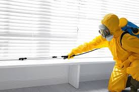 Best Residential Pest Control  in Hemet, CA